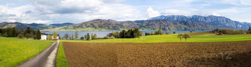 Agriculturally prepared field