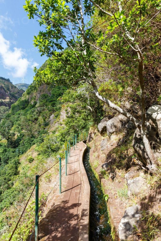 Hiking trail along the Levada Nova Hike hiking on Madeira Island