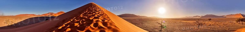 Dune 45