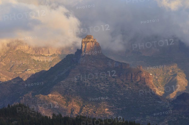 Late afternoon light