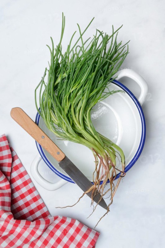 Monk's beard with knife on pot