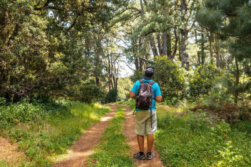 A young man on a nature trail in La Llania on El Hierro