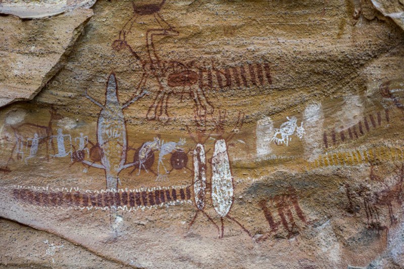 Rock art painting at Pedra Furada