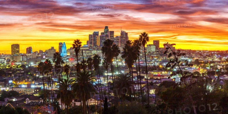 View of Downtown Los Angeles Skyline with Palm Trees at Sunset in Panorama California in Los Angeles