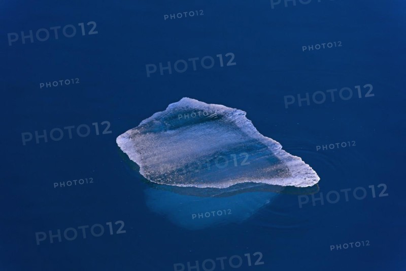 Melting ice floe drifting in Polar ocean