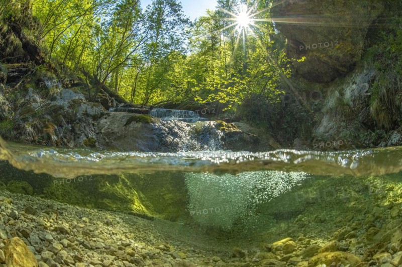 Underwater photo in a mountain stream in the Kalkalpen National Park