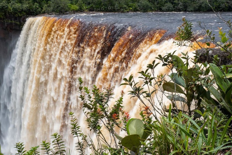 Kaieteur Falls on the Potaro River in the Kaieteur National Park