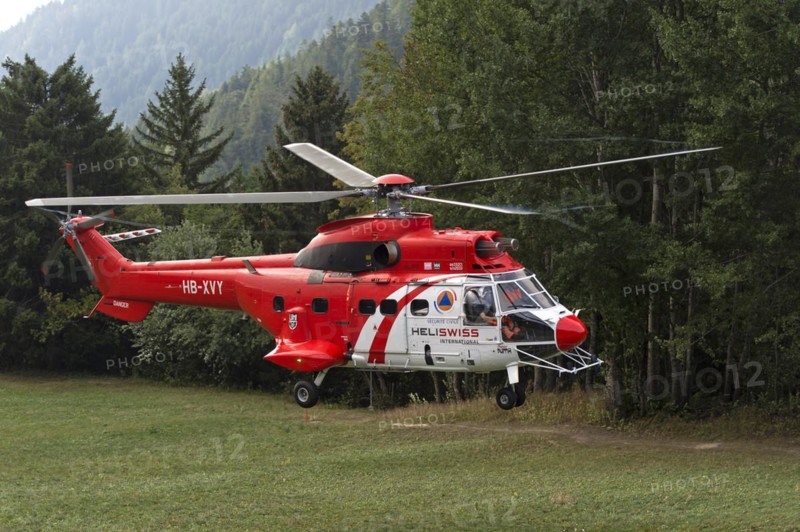 Multi-purpose transport helicopter AS 332 Super Cougar C1 HB-XVY of Heliswiss International AG lands on a forest meadow