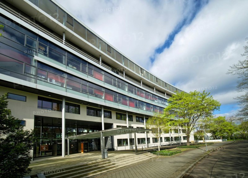 Max Planck Institute for Evolutionary Anthropology