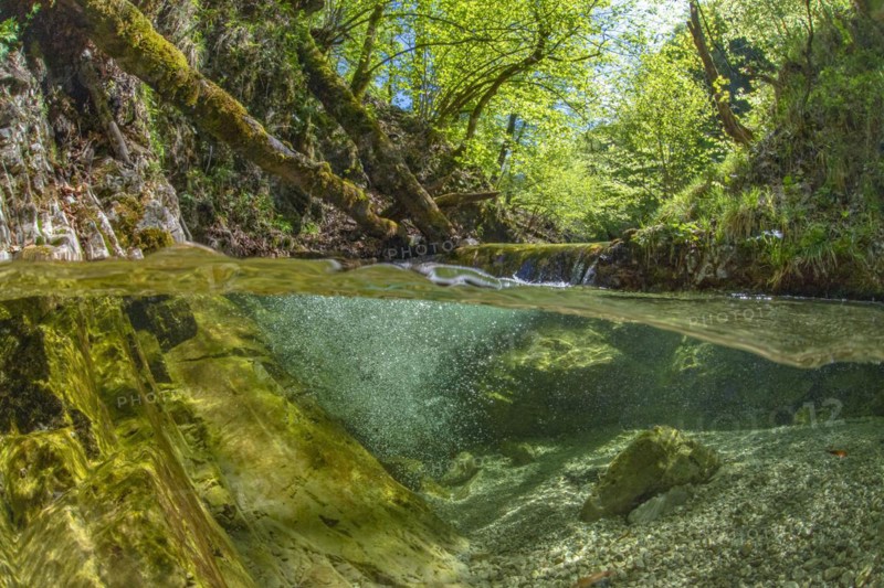 Underwater photo in a mountain stream in the Kalkalpen National Park