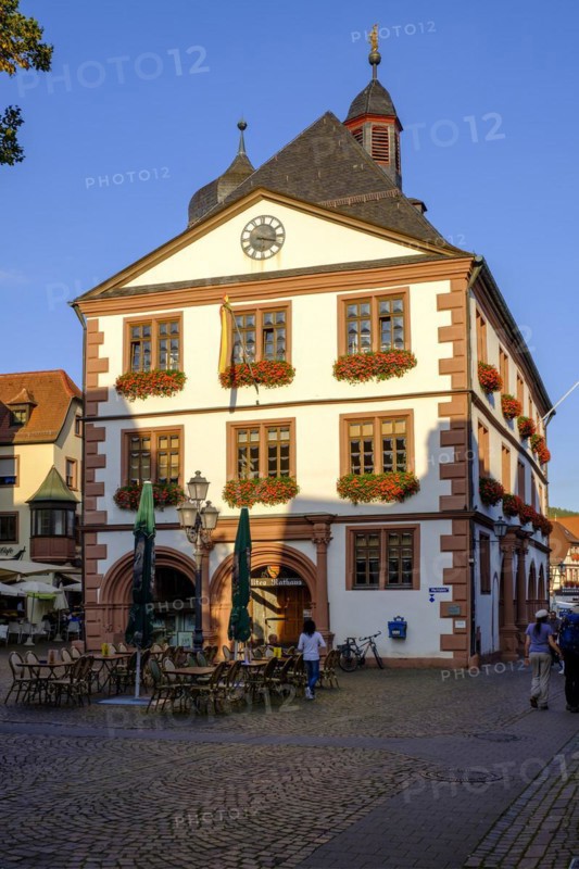 Town Hall on the Market Square