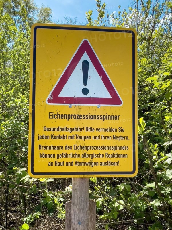 Warning sign warning of dangerous caterpillar species caterpillar oak processionary moth