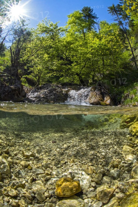 Underwater photo in a mountain stream in the Kalkalpen National Park