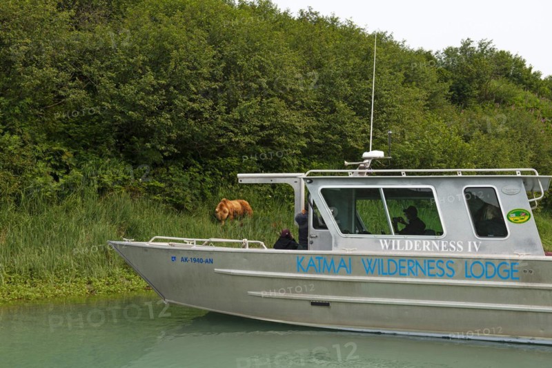 Tourists on photo safari by boat in Kukak Bay watching grizzly bears