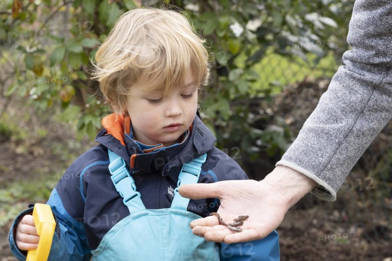 Kleind looking at an earthworm in the hand of an adult