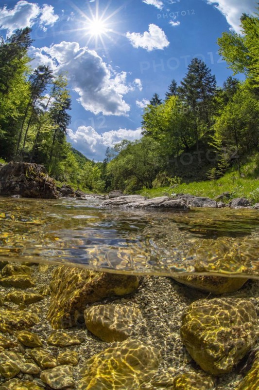 Underwater photo in a mountain stream in the Kalkalpen National Park