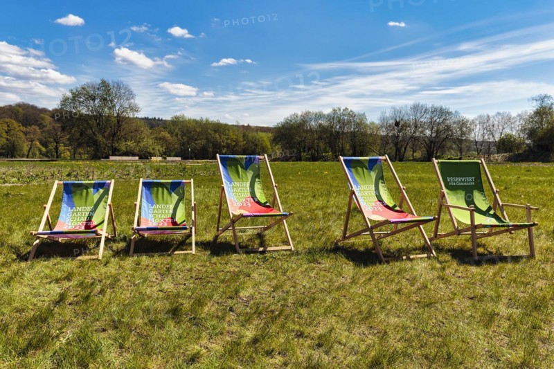 Five deckchairs in a meadow