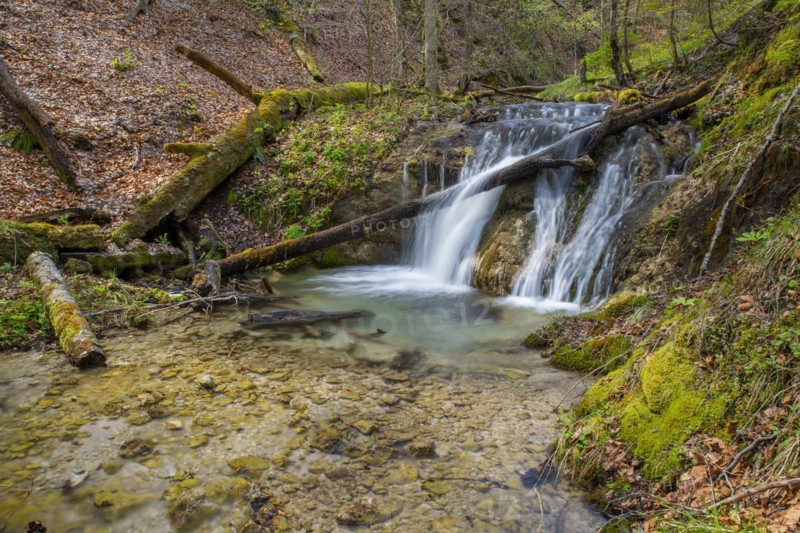Forest stream with waterfall in the UNESCO World Heritage Beech Forest in the Limestone Alps National Park