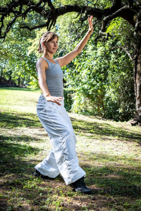 Woman practicing tai chi in a park conveys a sense of tranquility and harmony with nature