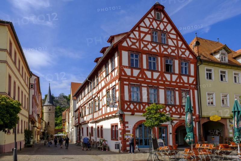 Main Gate with half-timbered house