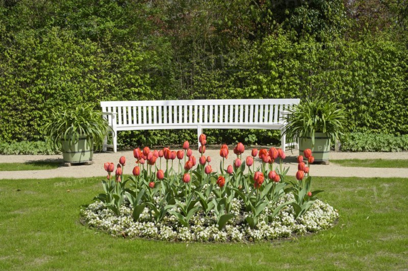 Tulip bed
