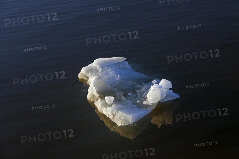 Melting ice floe drifting in Polar ocean