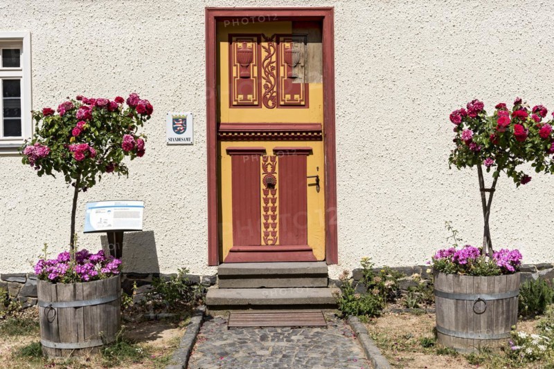 Historical wooden door with painted carvings