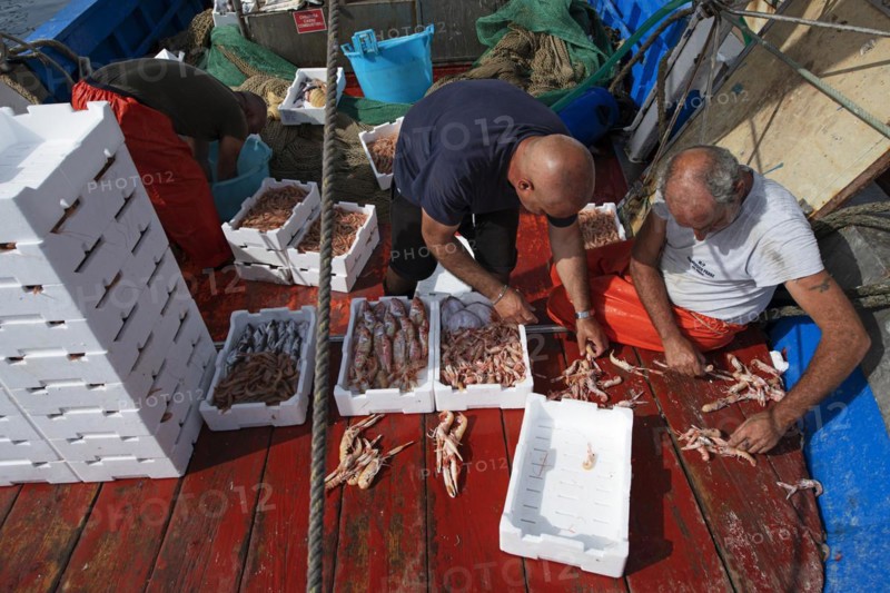 Freshly caught shellfish sold directly from the fishing boat