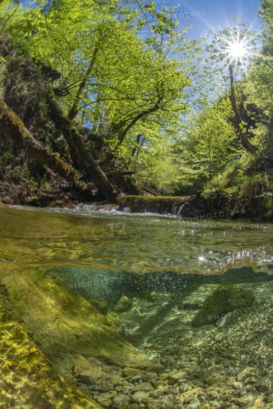 Underwater photo in a mountain stream in the Kalkalpen National Park