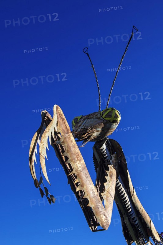 Rusty steel praying mantis