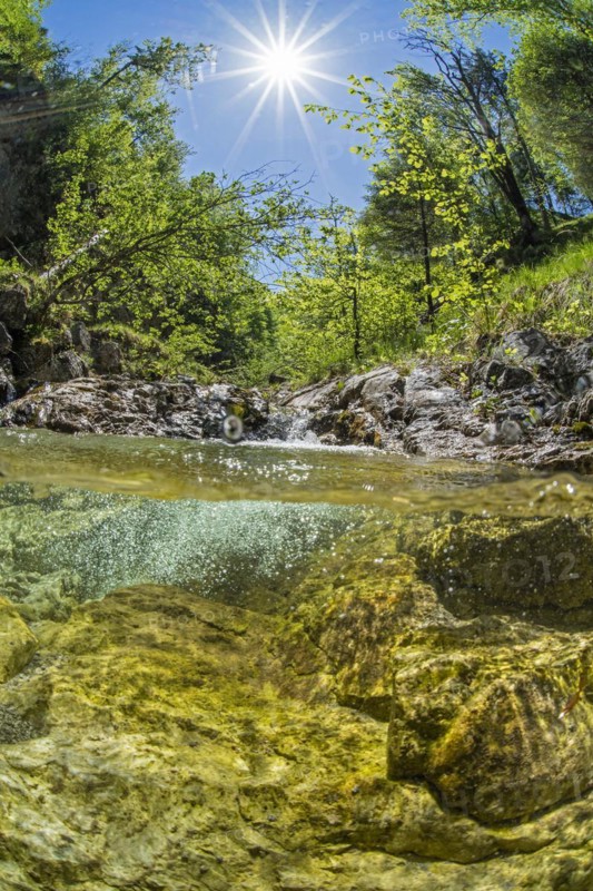 Underwater photo in a mountain stream in the Kalkalpen National Park