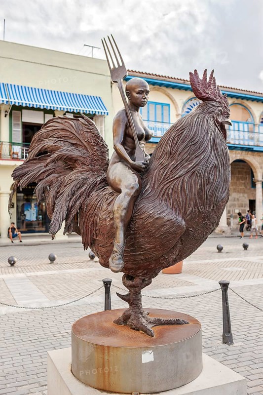 Naked woman on cock