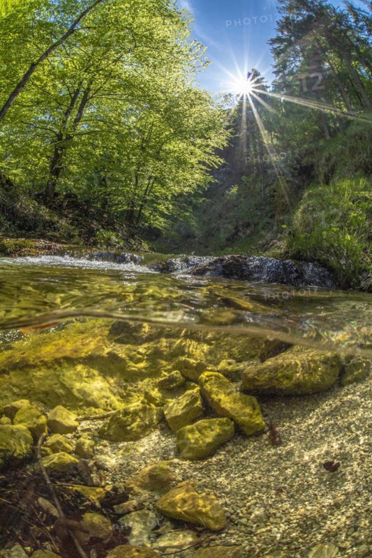 Underwater photo in a mountain stream in the Kalkalpen National Park