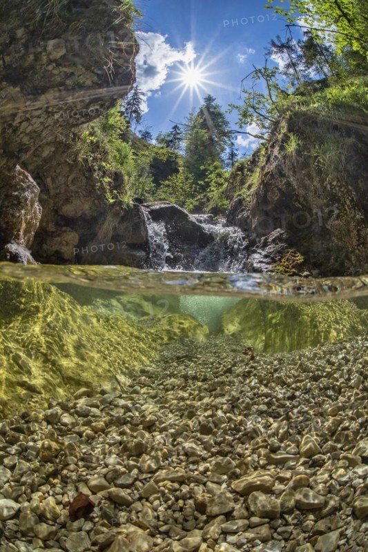 Underwater photo in a mountain stream in the Kalkalpen National Park