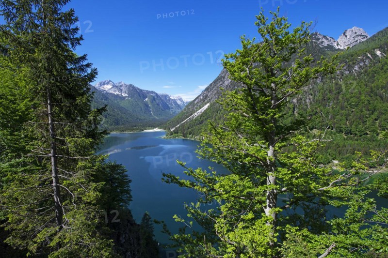 Lago del Predil