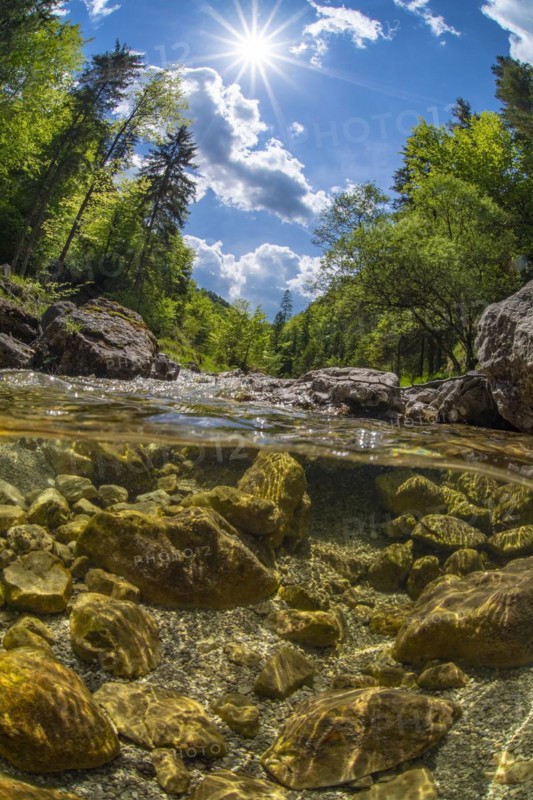 Underwater photo in a mountain stream in the Kalkalpen National Park