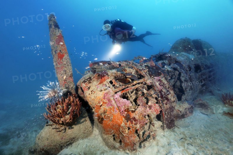 Diver explores Japanese Nakajima Ki-43 Hayabusa