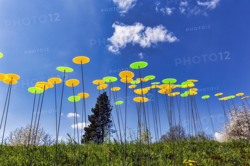 Colourful sun catcher