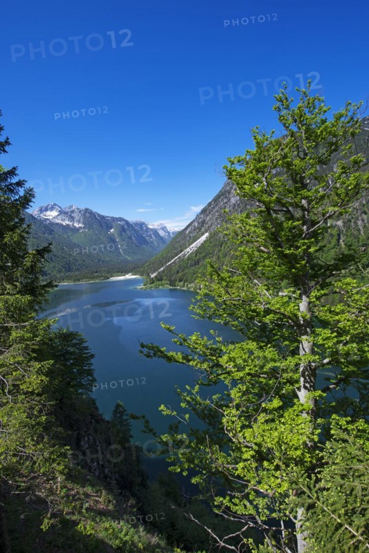 Lago del Predil