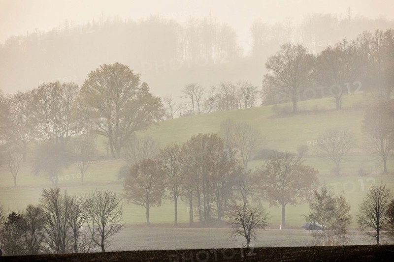 Landscape in Koenigshain