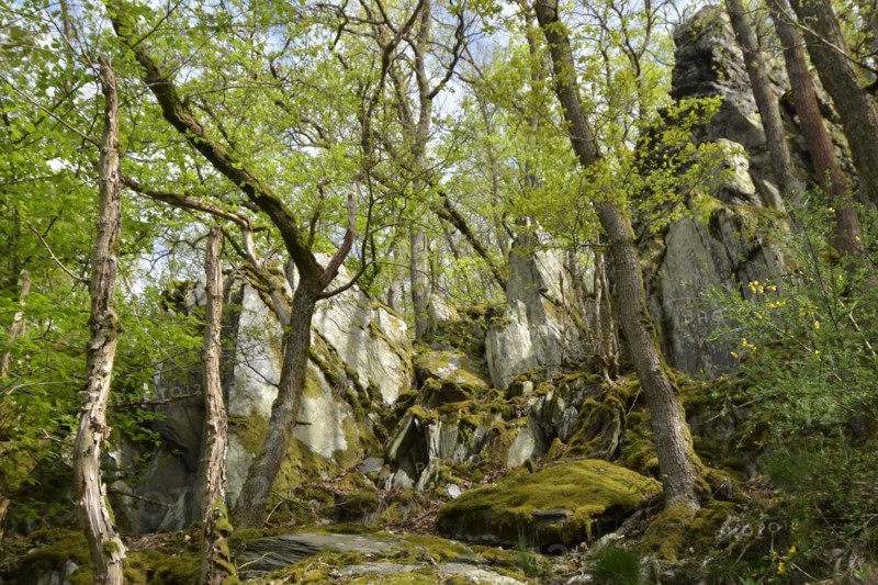 Boulders of Altlayer Schweiz on the hiking trail in Hunsrueck in spring
