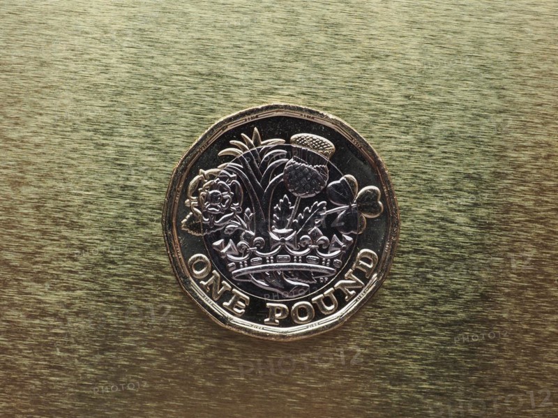 1 pound coin money
