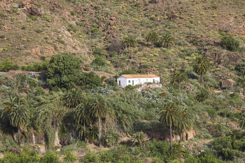 Finca