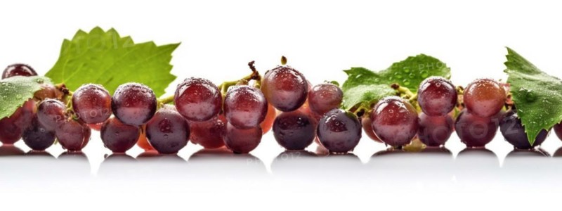 Seamless tileable row of fresh grapes on the vine on a white background