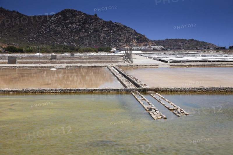 Salt fields for salt production