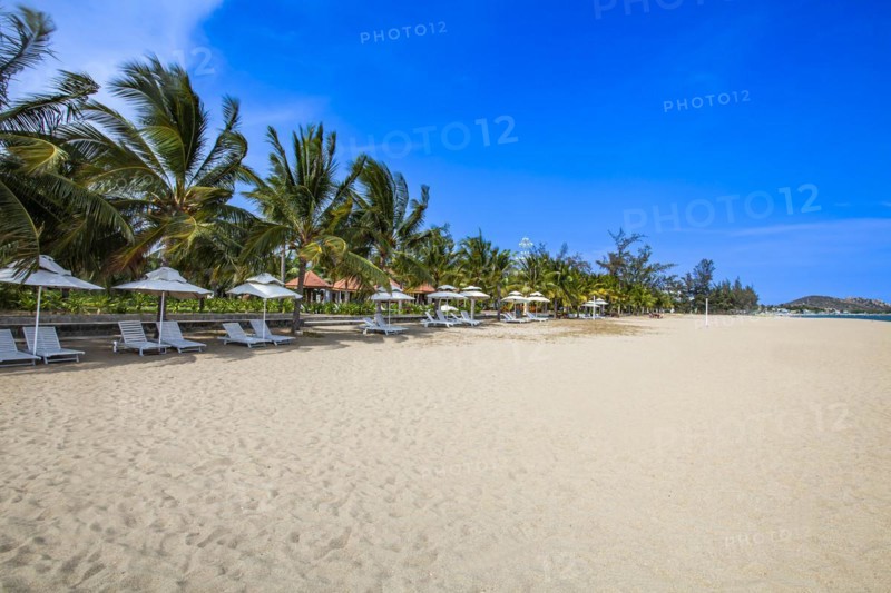 Beach with Umbrellas and sunbeds
