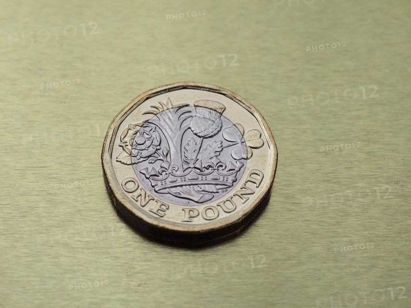 1 pound coin money