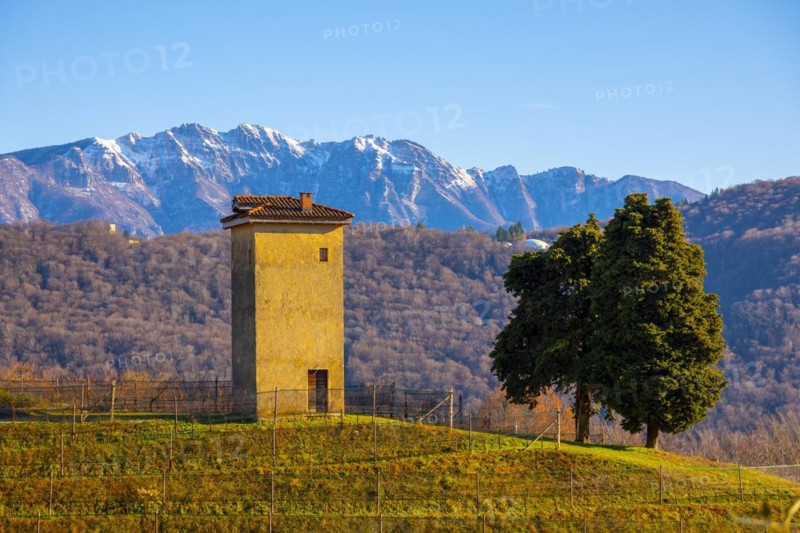 Vineyard in Collina d'oro with Mountain in Lugano