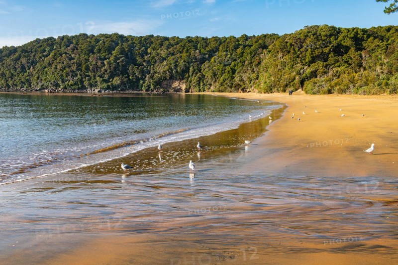Sydney Cove