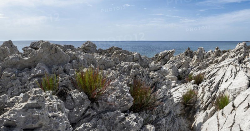 Rocks on the coast